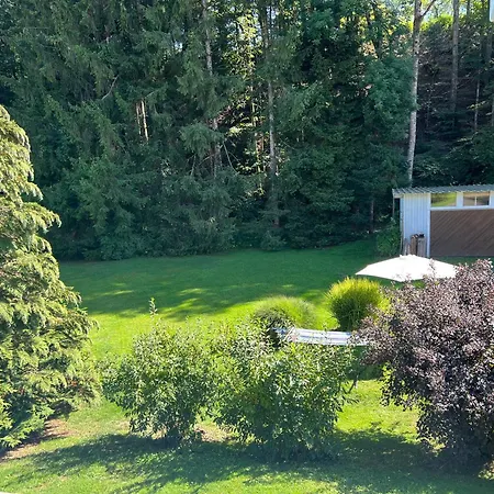 Daire Bachgefluester