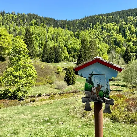 Bachgefluester Daire