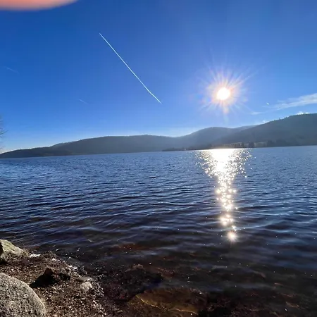 Daire Bachgefluester *