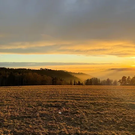 Bachgefluester Daire *