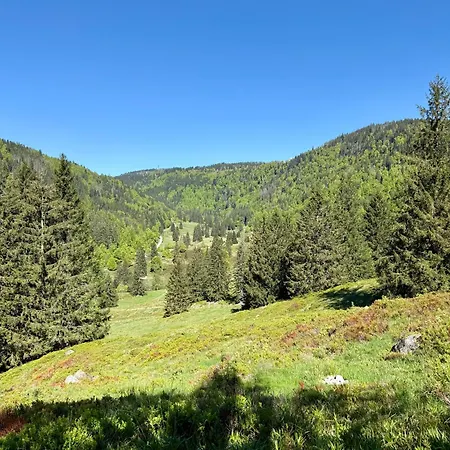 Bachgefluester Daire *