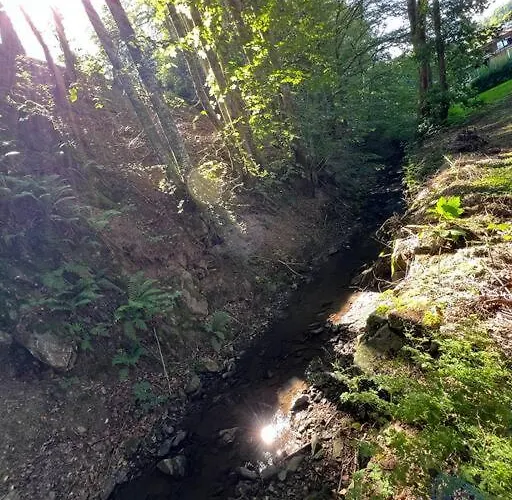 Bachgefluester Апартаменты *