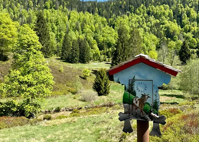 Bachgefluester Апартаменты