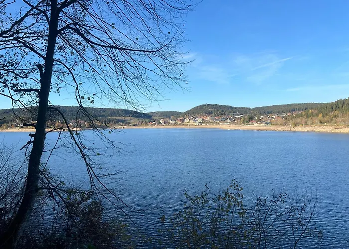 Bachgefluester Апартаменты