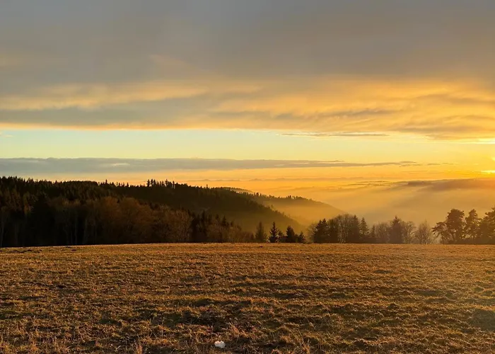 Bachgefluester Апартаменты *