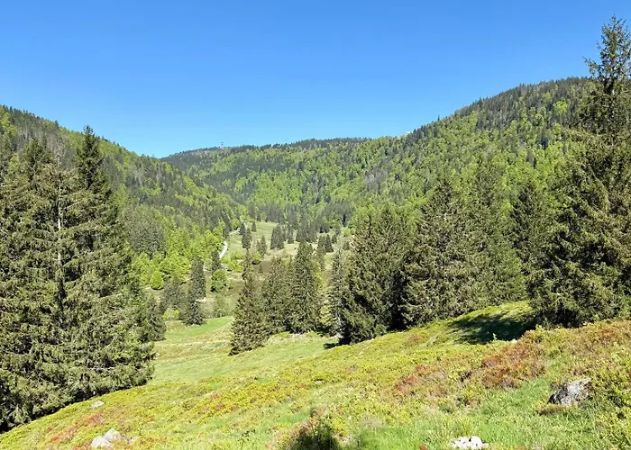 Bachgefluester Апартаменты *